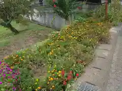 高瀧神社(千葉県)