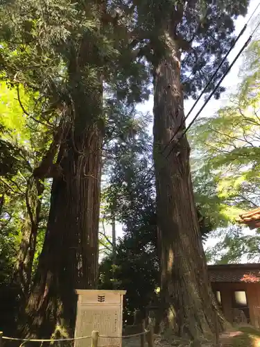 吉部八幡宮のその他建物