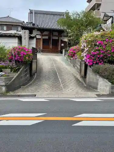 和田寺の山門