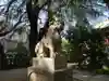 青山熊野神社の狛犬