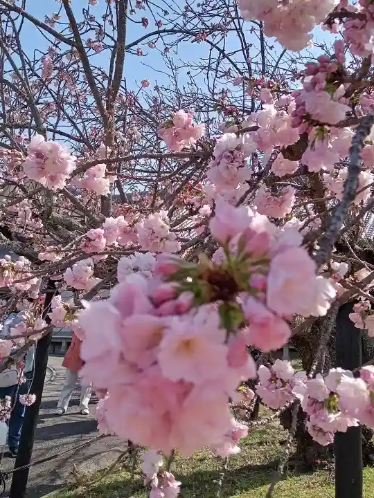 醍醐寺(京都府)