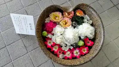 美瑛神社の手水舎