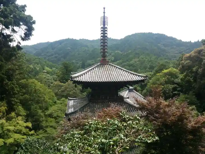 一乗寺のその他建物