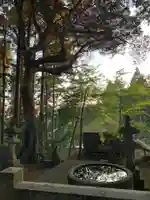 八幡神社(千葉県)