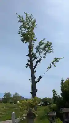 大神比義命の祠の自然