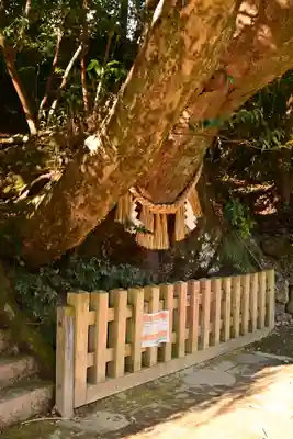 槵觸神社(宮崎県)