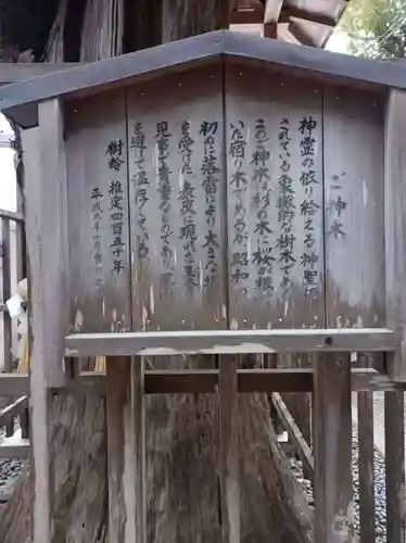 泉神社の御朱印