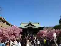 桜神宮(東京都)