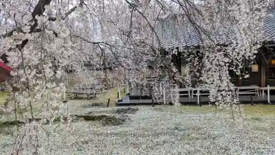 醍醐寺(京都府)