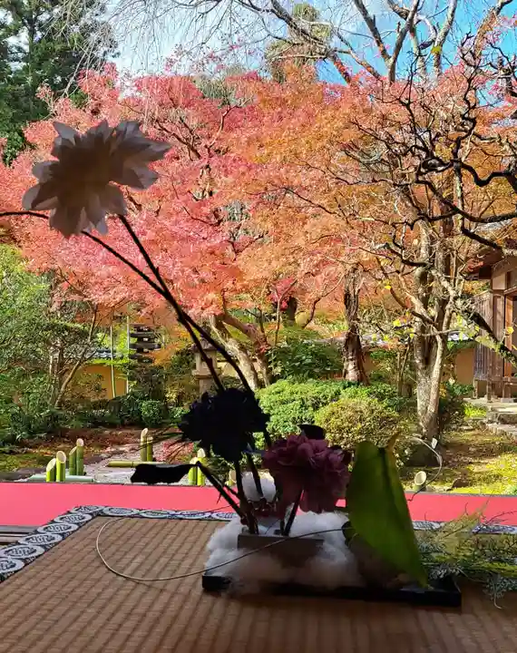 光明寺(粟生光明寺)(京都府)
