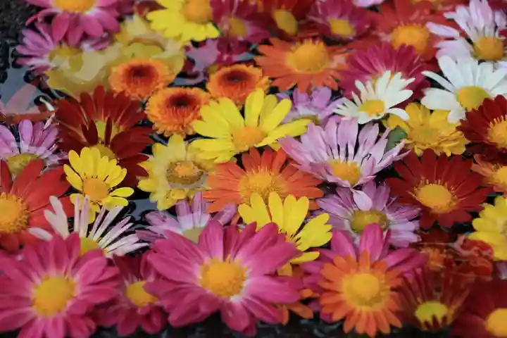 大鏑神社の手水舎