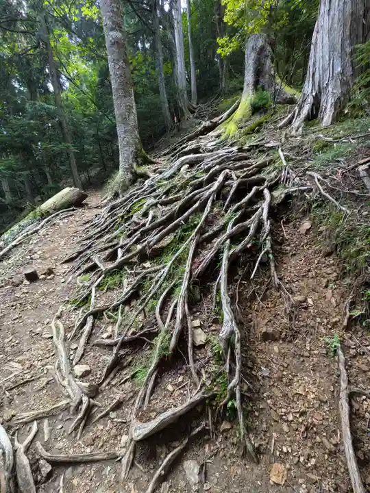 両神神社 奥社の周辺