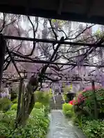 子安地蔵寺の庭園