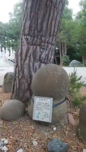 当別神社の自然