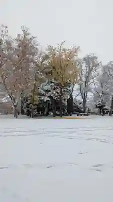 新琴似神社(北海道)
