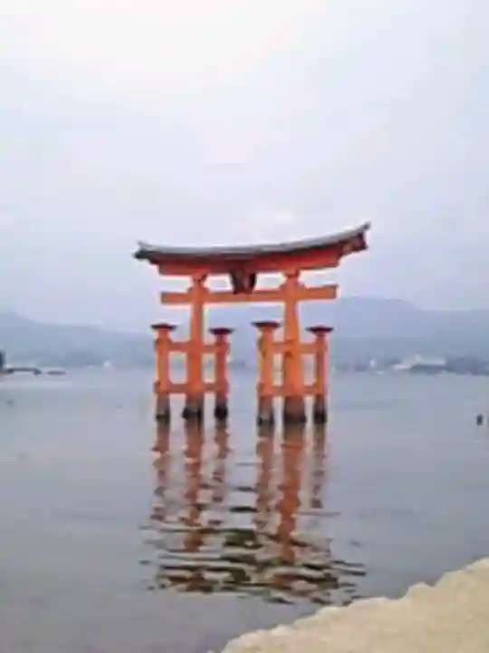 厳島神社の{uncategorized: "未分類", other: "その他", undefined: "問題あり", building: "その他建物", grave: "お墓", sacred_gate: "鳥居", guardian: "狛犬", statue: "像", buddha: "仏像", history: "歴史", nature: "自然", garden: "庭園", animal: "動物", pagoda: "塔", temizu: "手水舎", mountain_gate: "山門・神門", sanctuary: "本殿・本堂", subordinate: "末社・摂社", art: "芸術", scenery: "景色", jizo: "地蔵", ema: "絵馬", goshuin: "御朱印", omikuji: "おみくじ", items: "授与品その他", amulet: "お守り", goshuincho: "御朱印帳", eats: "食事", festival: "お祭り", votive_dance: "神楽", shichigosan: "七五三参", wedding: "結婚式", experience: "体験その他", initially: "初詣", around: "周辺", anti_infection: "感染症対策"}
