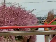 鷲宮神社の周辺