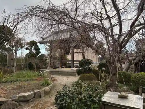 金龍寺(兵庫県)