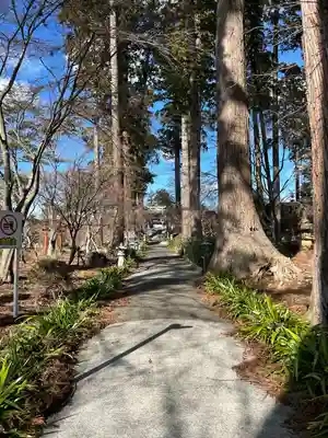 八幡宮(茨城県)
