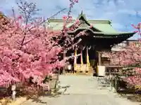 桜神宮の自然