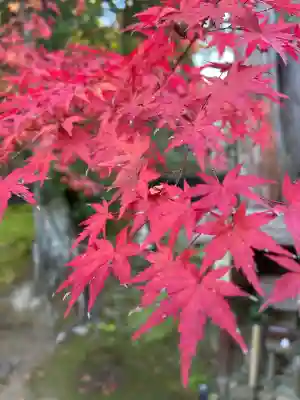 西明寺(滋賀県)