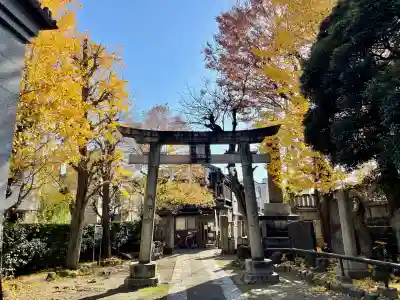 白鬚神社(東京都)