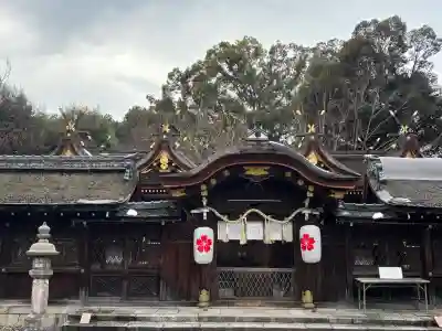 北野天満宮の{uncategorized: "未分類", other: "その他", undefined: "問題あり", building: "その他建物", grave: "お墓", sacred_gate: "鳥居", guardian: "狛犬", statue: "像", buddha: "仏像", history: "歴史", nature: "自然", garden: "庭園", animal: "動物", pagoda: "塔", temizu: "手水舎", mountain_gate: "山門・神門", sanctuary: "本殿・本堂", subordinate: "末社・摂社", art: "芸術", scenery: "景色", jizo: "地蔵", ema: "絵馬", goshuin: "御朱印", omikuji: "おみくじ", items: "授与品その他", amulet: "お守り", goshuincho: "御朱印帳", eats: "食事", festival: "お祭り", votive_dance: "神楽", shichigosan: "七五三参", wedding: "結婚式", experience: "体験その他", initially: "初詣", around: "周辺", anti_infection: "感染症対策"}