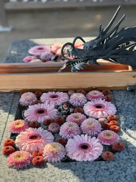 川越八幡宮の{uncategorized: "未分類", other: "その他", undefined: "問題あり", building: "その他建物", grave: "お墓", sacred_gate: "鳥居", guardian: "狛犬", statue: "像", buddha: "仏像", history: "歴史", nature: "自然", garden: "庭園", animal: "動物", pagoda: "塔", temizu: "手水舎", mountain_gate: "山門・神門", sanctuary: "本殿・本堂", subordinate: "末社・摂社", art: "芸術", scenery: "景色", jizo: "地蔵", ema: "絵馬", goshuin: "御朱印", omikuji: "おみくじ", items: "授与品その他", amulet: "お守り", goshuincho: "御朱印帳", eats: "食事", festival: "お祭り", votive_dance: "神楽", shichigosan: "七五三参", wedding: "結婚式", experience: "体験その他", initially: "初詣", around: "周辺", anti_infection: "感染症対策"}