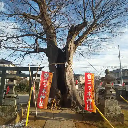 三ツ木神社の自然