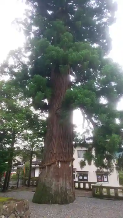 飛驒一宮水無神社(岐阜県)