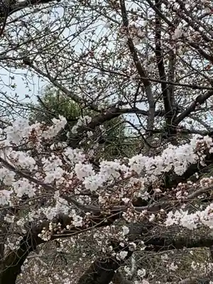 伊和志津神社(兵庫県)
