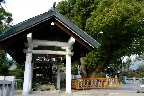 和泉國一之宮　大鳥大社の手水舎