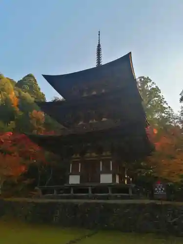 西明寺の建物その他