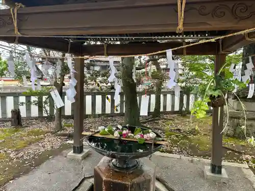 小名浜諏訪神社 ～海の鎮守様～の手水舎