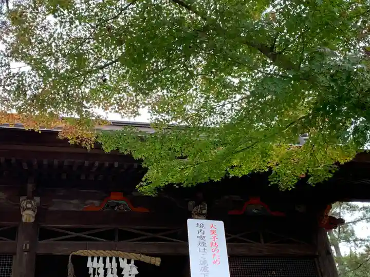 岩殿山安楽寺(吉見観音)の山門・神門