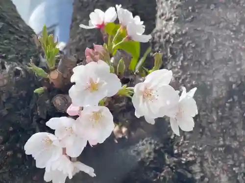 弘明寺(神奈川県)