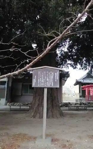 東福寺(静岡県)