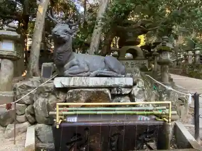 春日大社の手水舎