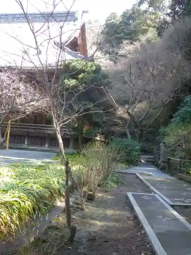 妙本寺の庭園