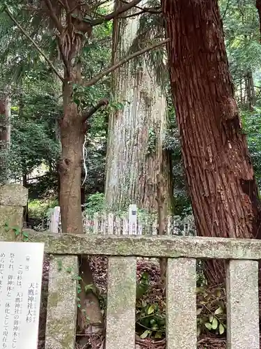天鷹神社(岐阜県)