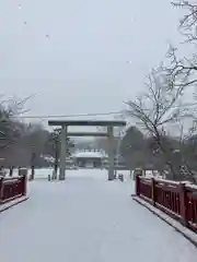 札幌護國神社の鳥居