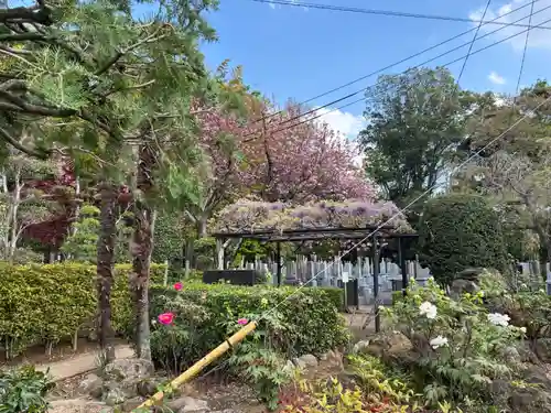 東福寺(千葉県)