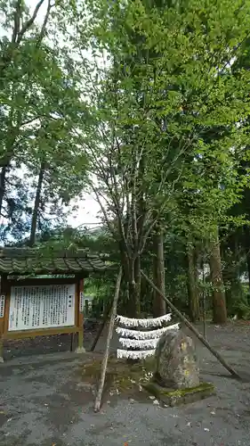 甲佐神社の自然