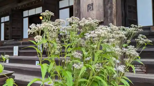 真正極楽寺（真如堂）(京都府)