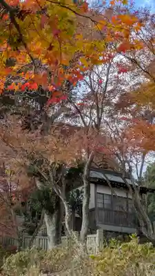 柳谷観音　楊谷寺(京都府)