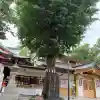 居木神社(東京都)