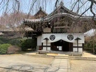 養源院の{uncategorized: "未分類", other: "その他", undefined: "問題あり", building: "その他建物", grave: "お墓", sacred_gate: "鳥居", guardian: "狛犬", statue: "像", buddha: "仏像", history: "歴史", nature: "自然", garden: "庭園", animal: "動物", pagoda: "塔", temizu: "手水舎", mountain_gate: "山門・神門", sanctuary: "本殿・本堂", subordinate: "末社・摂社", art: "芸術", scenery: "景色", jizo: "地蔵", ema: "絵馬", goshuin: "御朱印", omikuji: "おみくじ", items: "授与品その他", amulet: "お守り", goshuincho: "御朱印帳", eats: "食事", festival: "お祭り", votive_dance: "神楽", shichigosan: "七五三参", wedding: "結婚式", experience: "体験その他", initially: "初詣", around: "周辺", anti_infection: "感染症対策"}