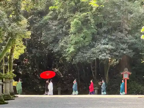 宇佐神宮(大分県)