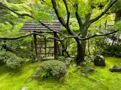 桂春院(京都府)