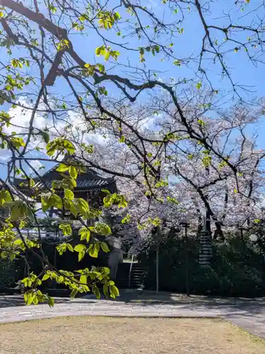 福蔵院(東京都)